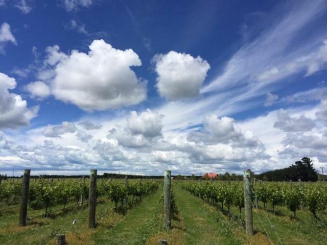 Romantic Vineyard Getaway Waipara Exterior foto