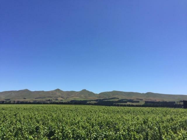 Romantic Vineyard Getaway Waipara Exterior foto