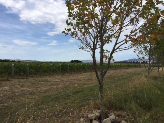 Romantic Vineyard Getaway Waipara Exterior foto